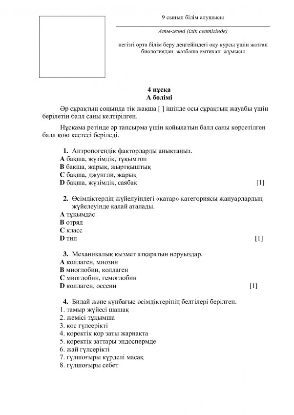4 нұсқа